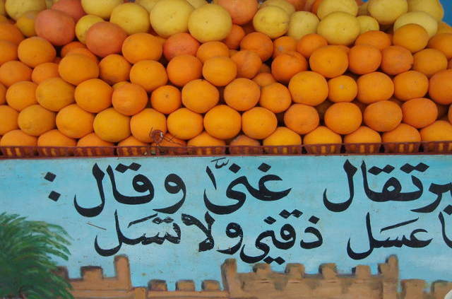 Oranges de la région de Taroudant