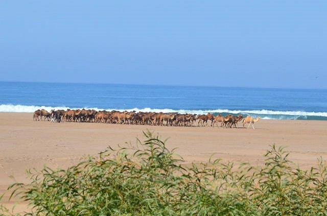 Plage de Sidi Rbat région d'Agadir