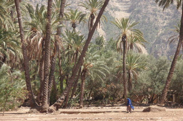 Excursion à la vallée du Paradis