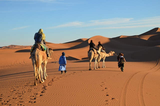 Désert marocain, méharée à l'erg Chegaga