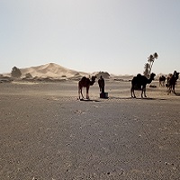 Maroc Circuit dans le désert avis de nos clients