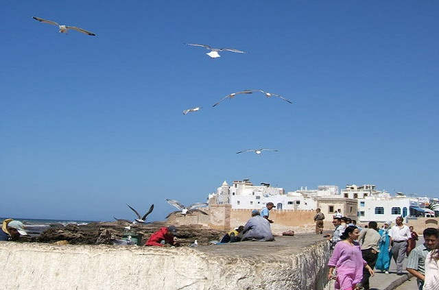 Mogador, excursion à Essaouira