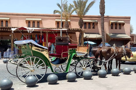 calèche de Marrakech