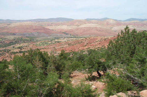 Paysage du moyen atlas marocain