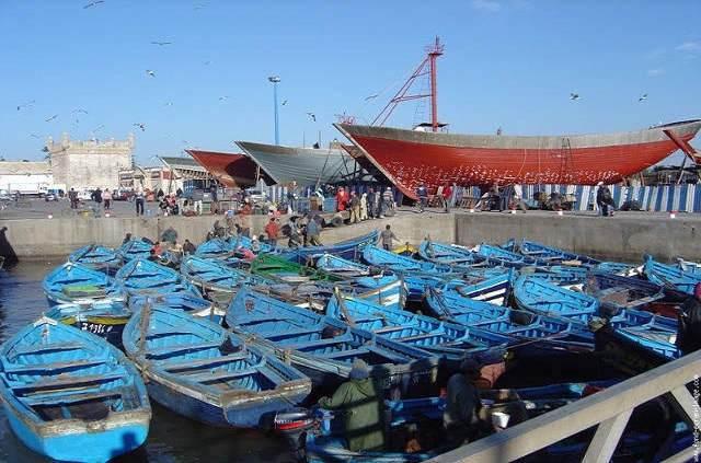 Excursion à Essaouira, le port