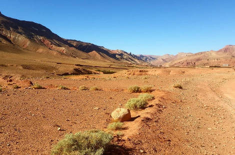 Piste du sud marocain