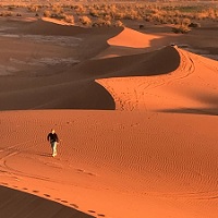 Circuit désert marocain