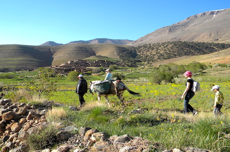 Balade avec âne dans vallée Ait Bougmez