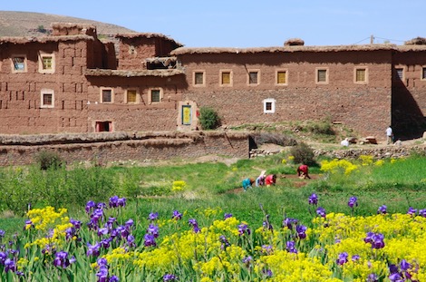 Maisons en pisé et fleurs